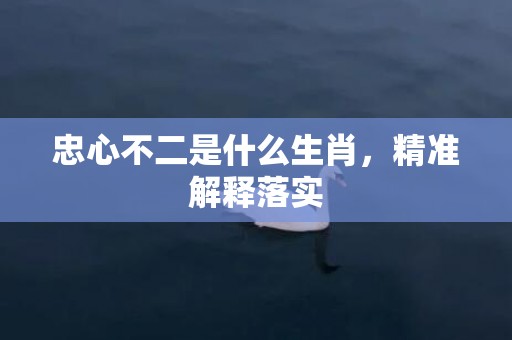 忠心不二是什么生肖，精准解释落实