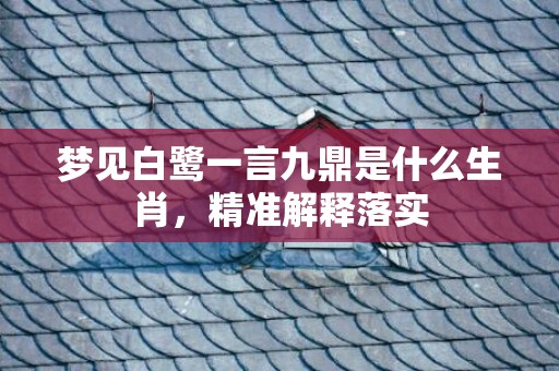 梦见白鹭一言九鼎是什么生肖，精准解释落实