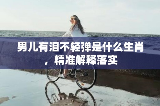 男儿有泪不轻弹是什么生肖，精准解释落实