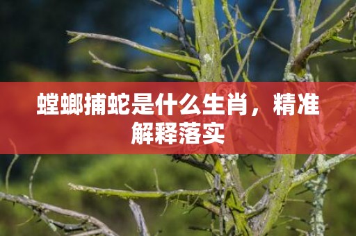 螳螂捕蛇是什么生肖，精准解释落实