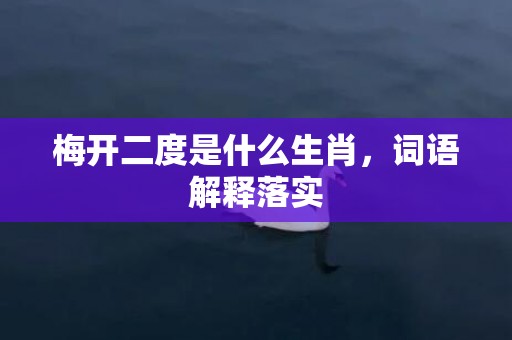 梅开二度是什么生肖，词语解释落实