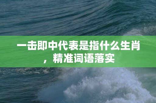 一击即中代表是指什么生肖，精准词语落实