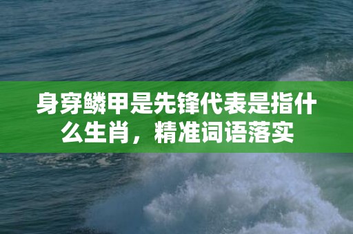 身穿鳞甲是先锋代表是指什么生肖，精准词语落实