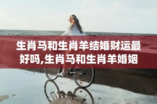 生肖马和生肖羊结婚财运最好吗,生肖马和生肖羊婚姻运势及运程(生肖马跟生肖羊合适吗)