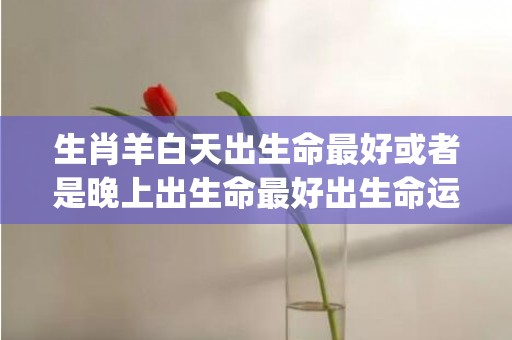 生肖羊白天出生命最好或者是晚上出生命最好出生命运分析(生肖羊后半生命运)
