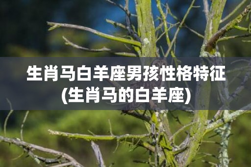 生肖马白羊座男孩性格特征(生肖马的白羊座)
