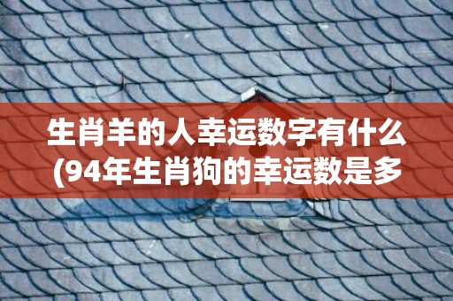 生肖羊的人幸运数字有什么(94年生肖狗的幸运数是多少)