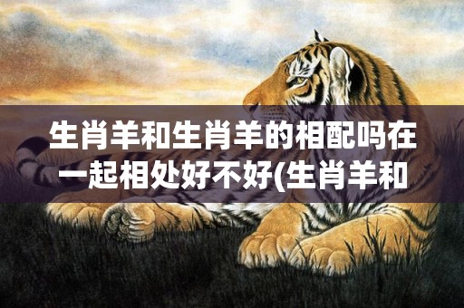 生肖羊和生肖羊的相配吗在一起相处好不好(生肖羊和生肖羊的配对查询)
