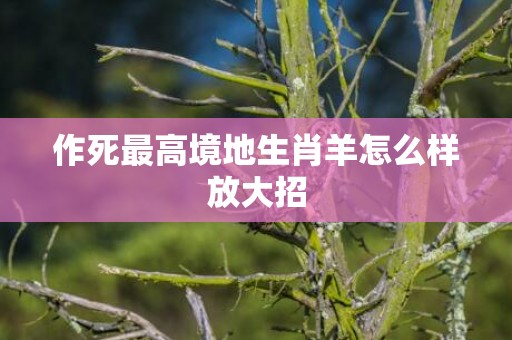 作死最高境地生肖羊怎么样放大招