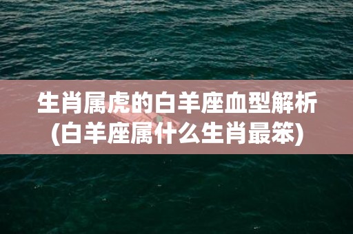生肖属虎的白羊座血型解析(白羊座属什么生肖最笨)