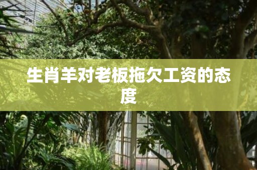 生肖羊对老板拖欠工资的态度