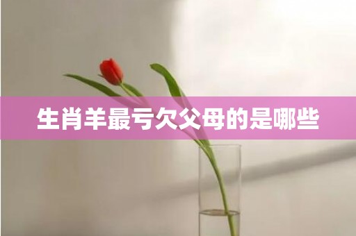 生肖羊最亏欠父母的是哪些