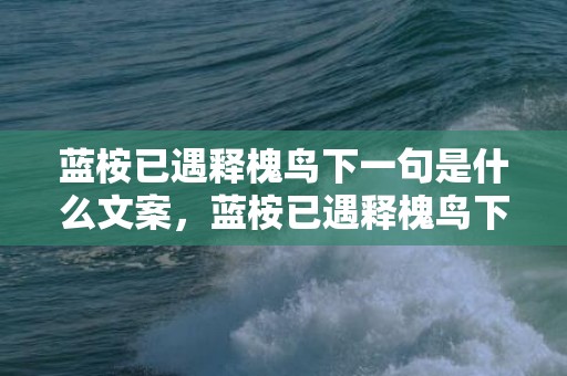 蓝桉已遇释槐鸟下一句是什么文案，蓝桉已遇释槐鸟下一句是什么？是什么意思？