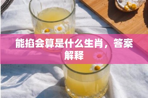 能掐会算是什么生肖，答案解释