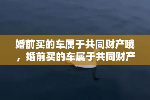 婚前买的车属于共同财产哦，婚前买的车属于共同财产吗