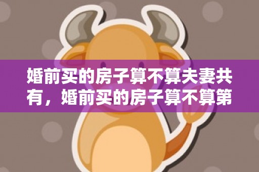 婚前买的房子算不算夫妻共有，婚前买的房子算不算第二套