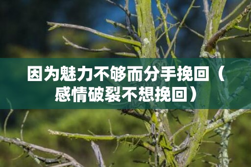 因为魅力不够而分手挽回（感情破裂不想挽回）