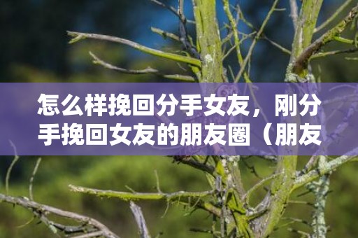怎么样挽回分手女友，刚分手挽回女友的朋友圈（朋友圈分手想挽回）