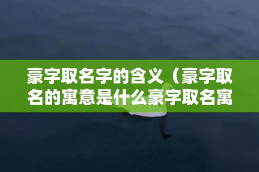 豪字取名字的含义（豪字取名的寓意是什么豪字取名寓意解释）