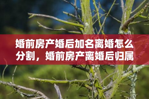 婚前房产婚后加名离婚怎么分割，婚前房产离婚后归属怎么分