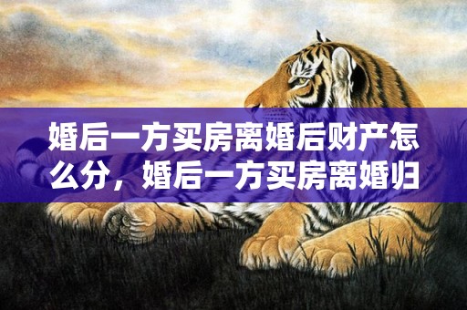 婚后一方买房离婚后财产怎么分，婚后一方买房离婚归谁抚养