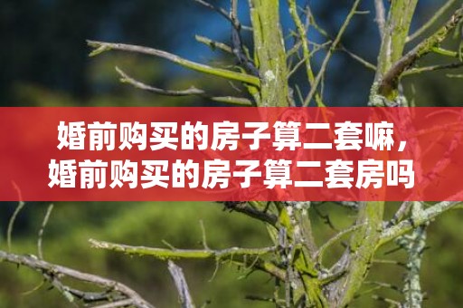 婚前购买的房子算二套嘛，婚前购买的房子算二套房吗