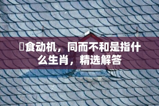 揾食动机，同而不和是指什么生肖，精选解答