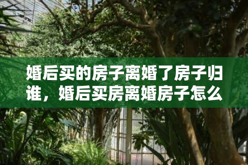 婚后买的房子离婚了房子归谁，婚后买房离婚房子怎么算