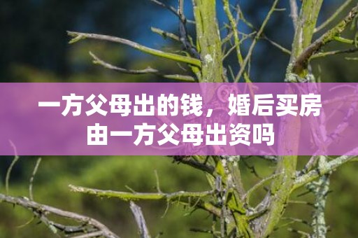一方父母出的钱，婚后买房由一方父母出资吗