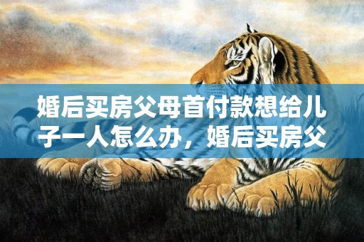 婚后买房父母首付款想给儿子一人怎么办，婚后买房父母首付如何保障