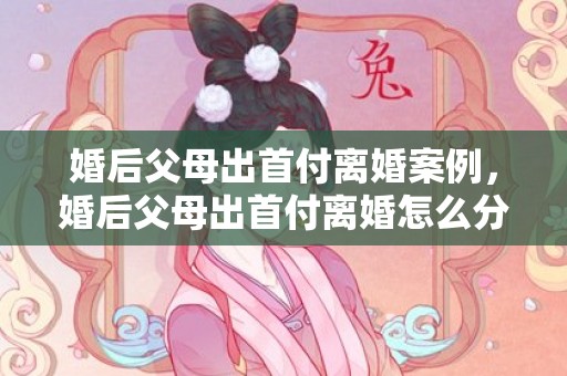 婚后父母出首付离婚案例，婚后父母出首付离婚怎么分