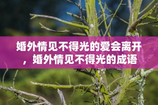 婚外情见不得光的爱会离开，婚外情见不得光的成语
