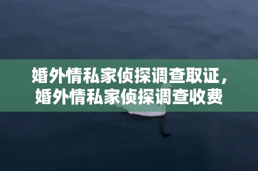 婚外情私家侦探调查取证，婚外情私家侦探调查收费