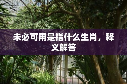 未必可用是指什么生肖，释义解答