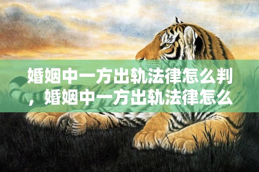婚姻中一方出轨法律怎么判，婚姻中一方出轨法律怎么判