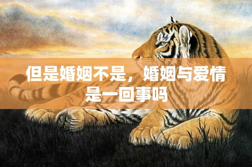 但是婚姻不是，婚姻与爱情是一回事吗