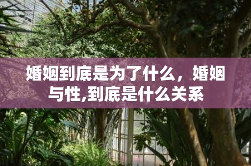 婚姻到底是为了什么，婚姻与性,到底是什么关系