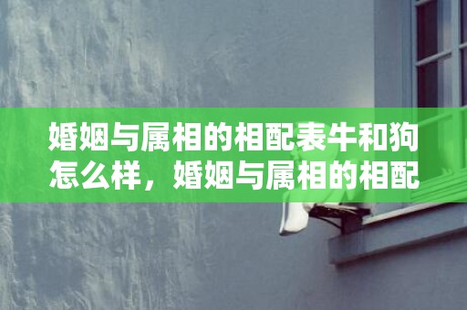 婚姻与属相的相配表牛和狗怎么样，婚姻与属相的相配表格