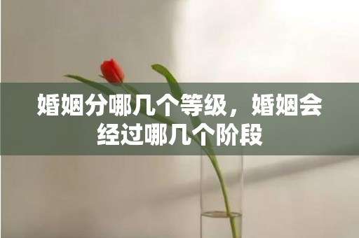 婚姻分哪几个等级，婚姻会经过哪几个阶段