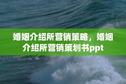 婚姻介绍所营销策略，婚姻介绍所营销策划书ppt