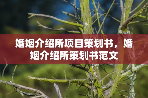 婚姻介绍所项目策划书，婚姻介绍所策划书范文