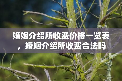 婚姻介绍所收费价格一览表，婚姻介绍所收费合法吗