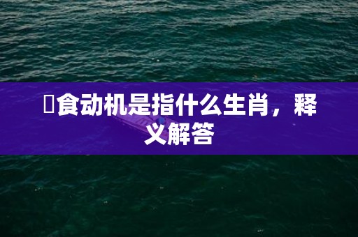 揾食动机是指什么生肖，释义解答