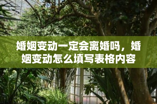 婚姻变动一定会离婚吗，婚姻变动怎么填写表格内容