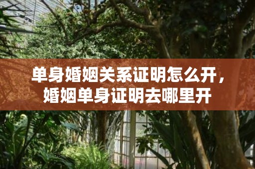 单身婚姻关系证明怎么开，婚姻单身证明去哪里开