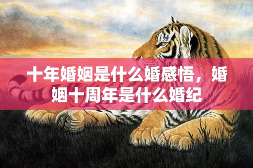 十年婚姻是什么婚感悟，婚姻十周年是什么婚纪
