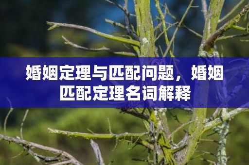 婚姻定理与匹配问题，婚姻匹配定理名词解释