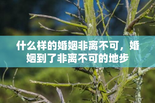 什么样的婚姻非离不可，婚姻到了非离不可的地步