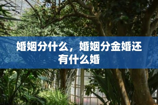 婚姻分什么，婚姻分金婚还有什么婚