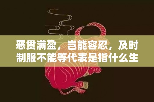 恶贯满盈，岂能容忍，及时制服不能等代表是指什么生肖，精准快答落实